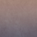 Dusk Spice Dusk Spice