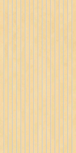 Decori Mango (30x60 cm) Decori Mango (30x60 cm)