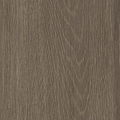 Chestnut Chestnut