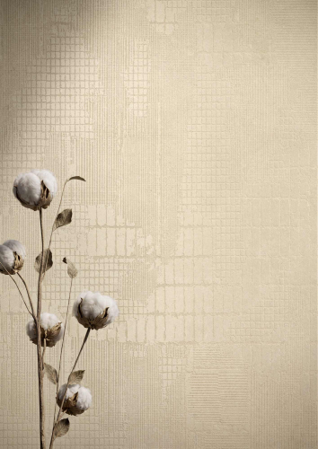 31 Caesar Lore Grano Grid StillLife